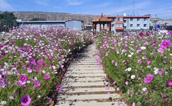 偷窥 亚洲 色 国产 日韩